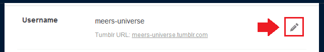 Username settings in Tumblr Username settings in Tumblr