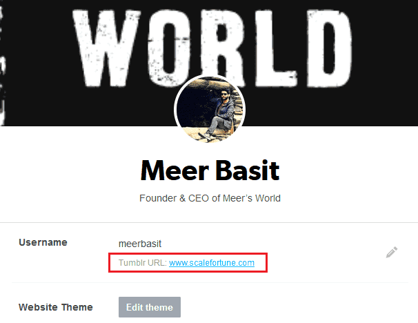 This is one step back, you can see that an active Three-Level custom domain "www.scalefortune.com" has replaced the Tumblr's subdomain. This is one step back, you can see that an active Three-Level custom domain "www.scalefortune.com" has replaced the Tumblr's subdomain.