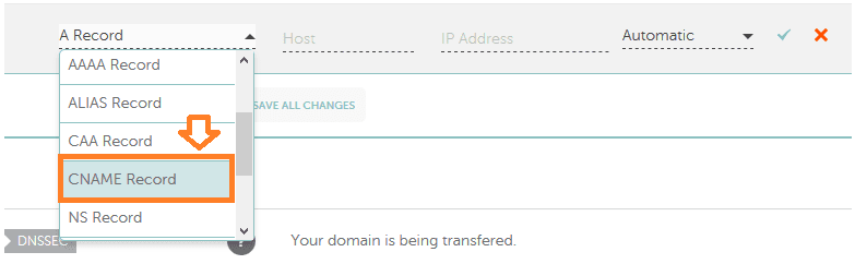 Choose the "CNAME Record" from the dropdown list. 