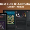 Best Cute & Aesthetic Tumblr Themes featred