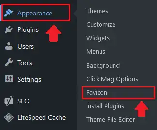 Favicon Not Showing After Activating LiteSpeed Cache 2