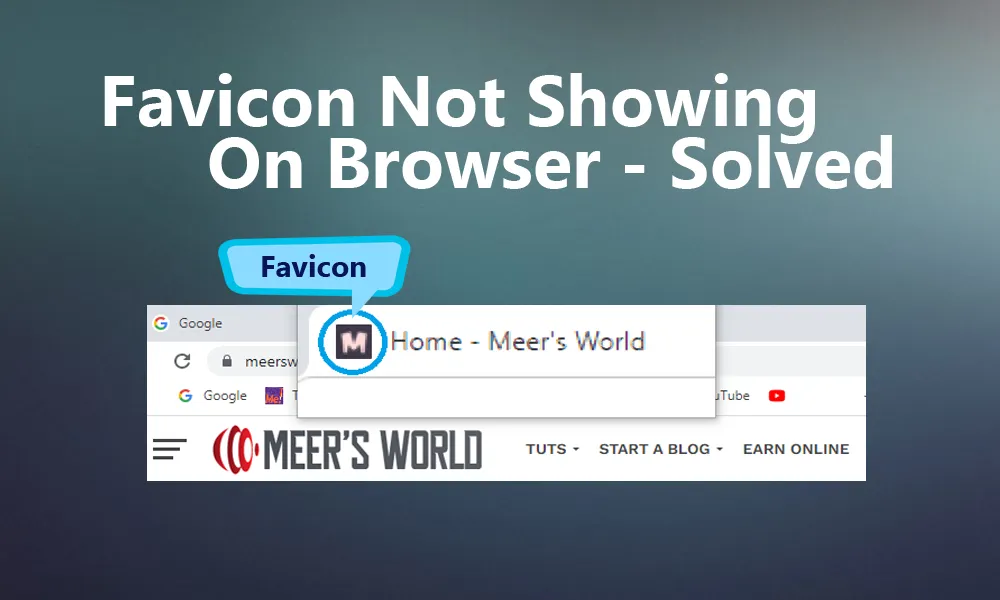 Favicon Not Showing After LiteSpeed Cache Installation