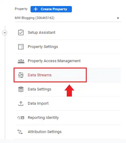 Now go to Property column and click Data Streams.