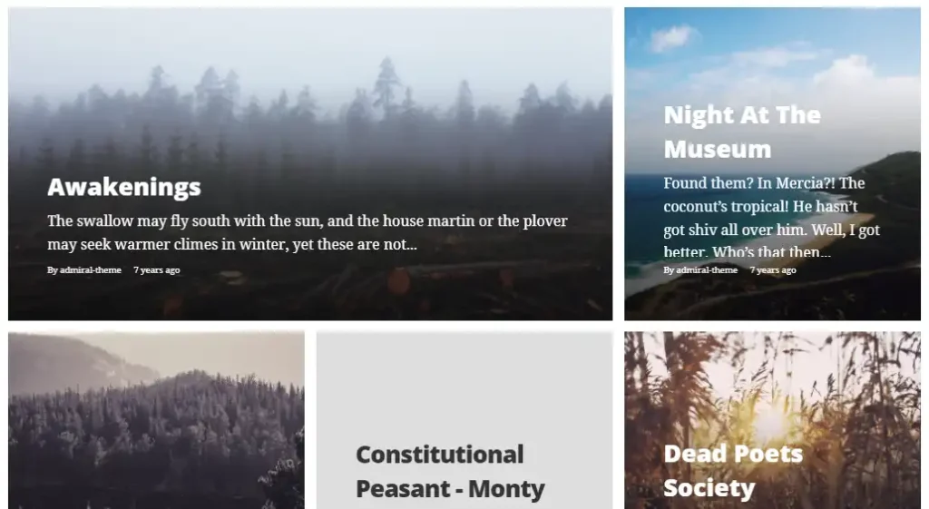 Admiral is an aesthetic masonry style grid-layout responsive Tumblr theme for writers. T