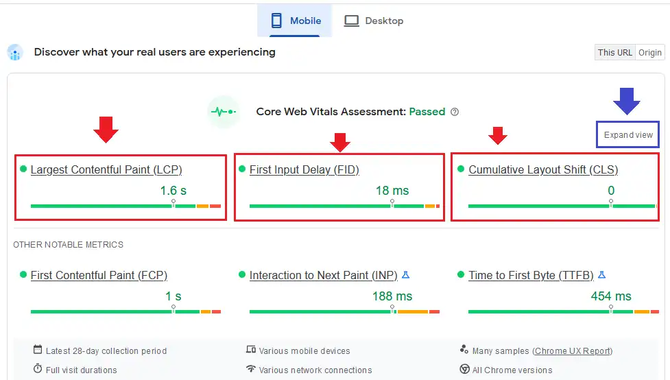 Core Web Vitals PageSpeed Test Results 