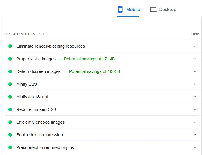 Passed Audits PageSpeed Insights 