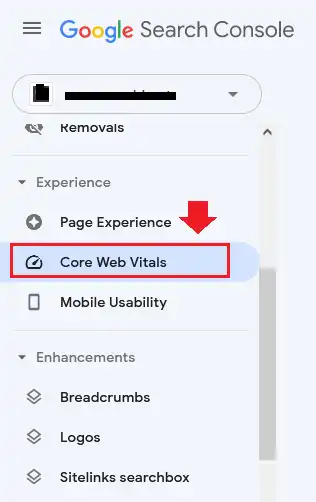 Google Search Console Core Web Vitals Reports 