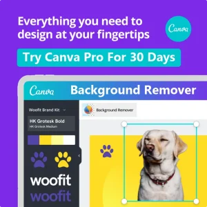 Best Online Free Graphic Design Tool Best Online Free Graphic Design Tool