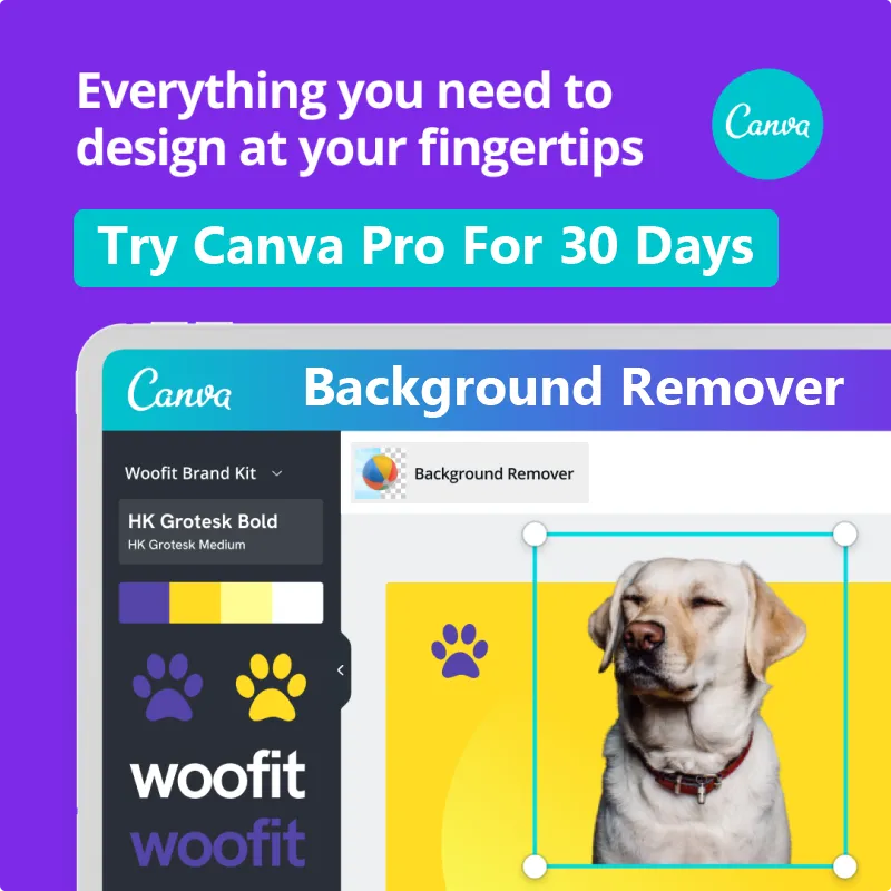 Best Online Free Graphic Design Tool Best Online Free Graphic Design Tool