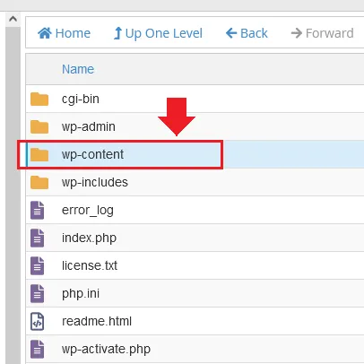 Click Wp-Content folder