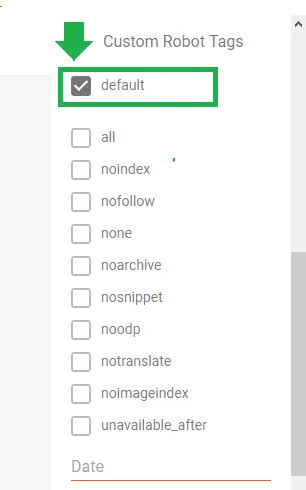 Custom Robots Tags Settings