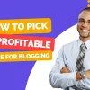 how to pick a profitable niche for blogging featured