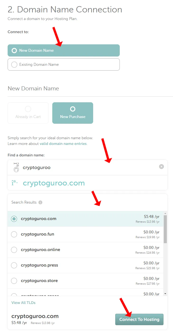 1) Select New Domain Name option. The New Purchase option will already be selected.2) In Find a domain name textbox enter the name of your desired domain. 