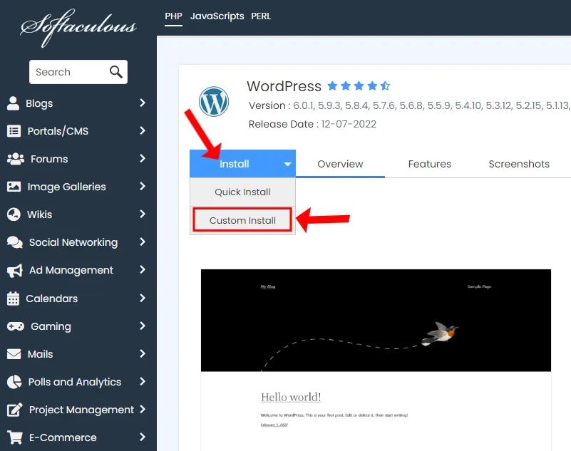 Click Install and choose Custom Install Click Install and choose Custom Install