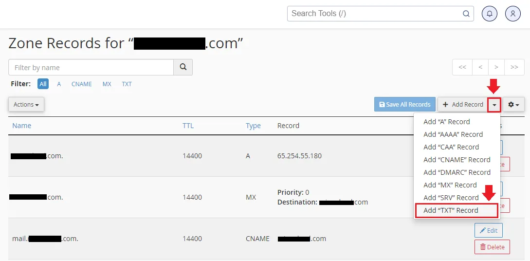 1) Click the Downward Arrow attached to + Add Record.
2) Click Add "TXT" Record from the list.