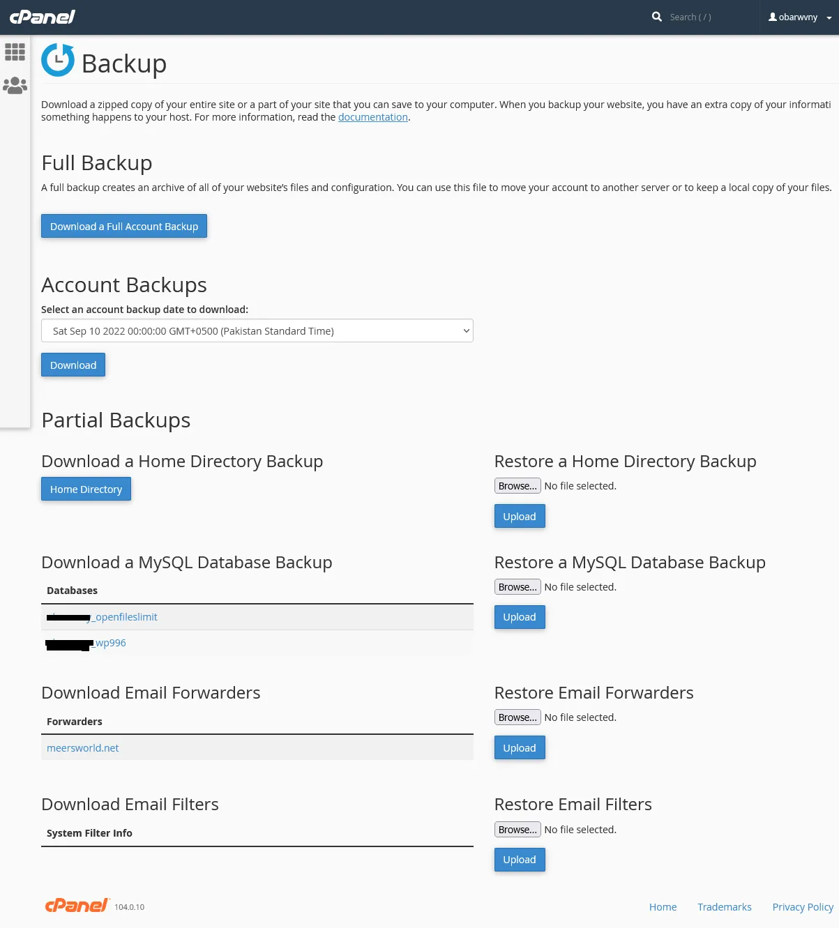 Backup page in cPanel with different backup options