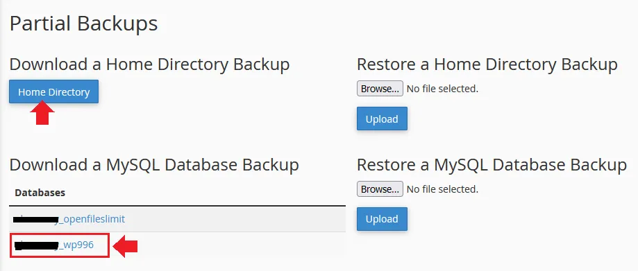 Click the Home Directory button to download the complete backup of your website files and folders