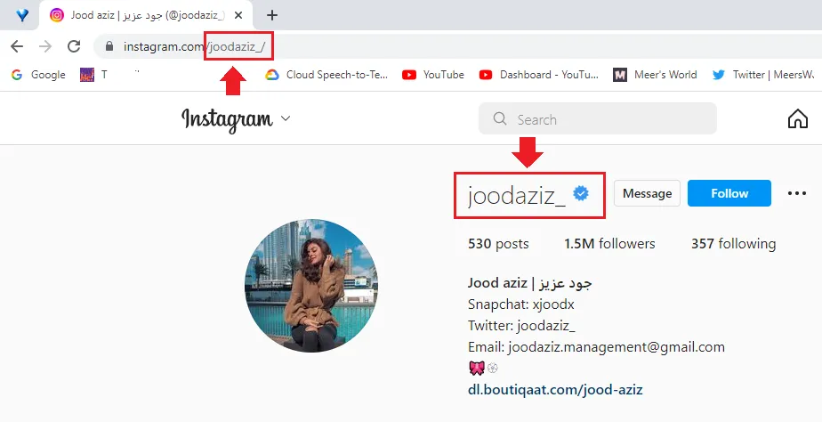 There are two ways to copy Instagram profile username (1) From the browser's URL Bar (2) From the Profile Intro.