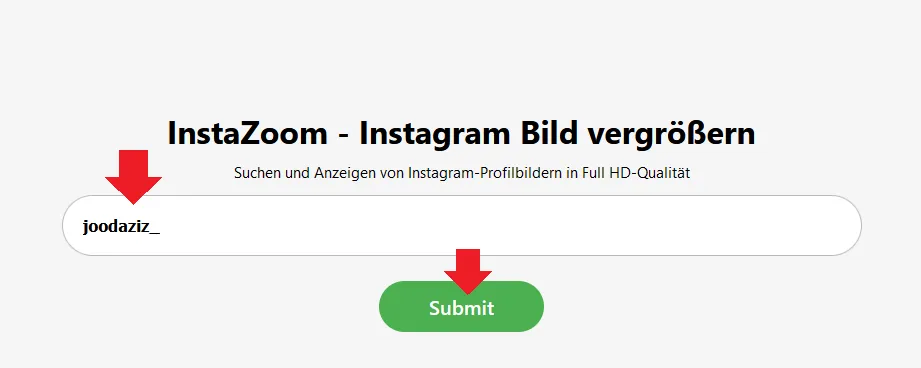 Go to Insta Zoom website. Enter or Paste the Instagram Username in the search textbox. Click the Submit button.