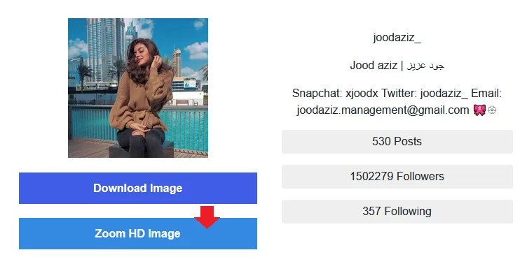 Click the Download Image button to save picture in the computer or mobile.
Click the Zoom HD Image to view the full size Instagram picture.