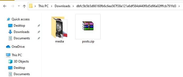 the Tumblr backup contains two folders media, and posts. 