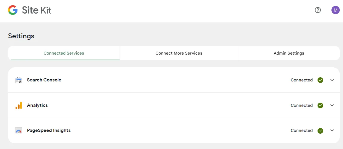 In the Connect Services you can see that Search Console, Analytics, and PageSpeed Insights are connected.