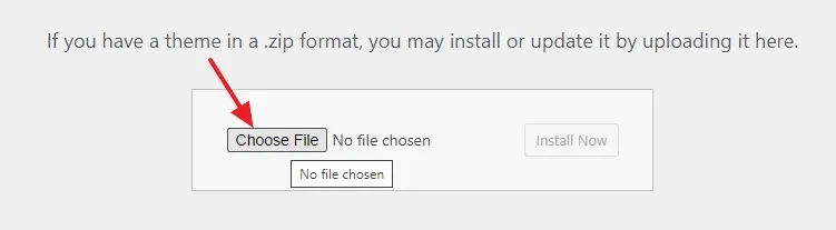 Click the Choose File button.
