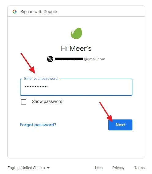 Enter your Gmail Password and click the Next button. 