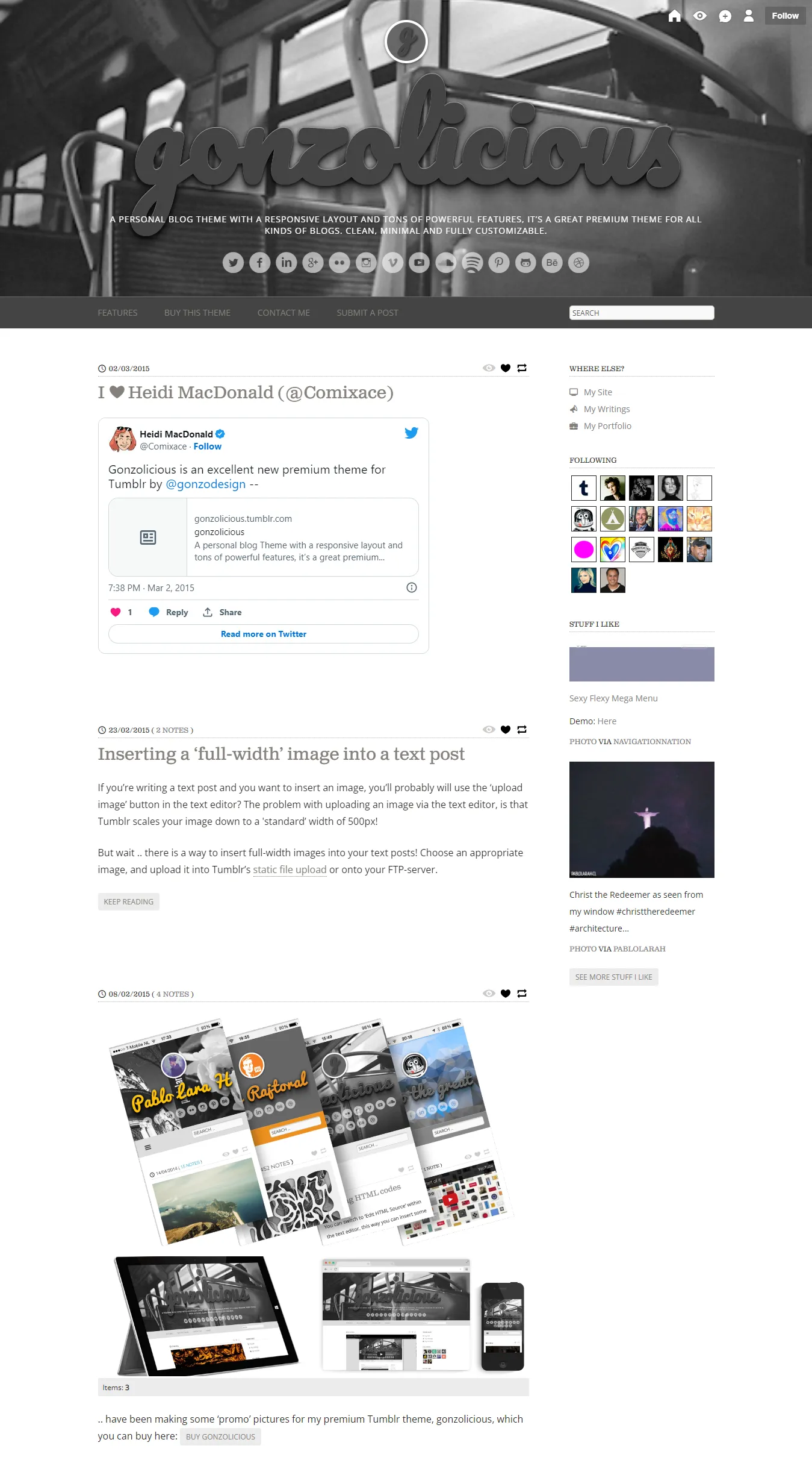 Gonzolicious premium Tumblr theme for personal blogs