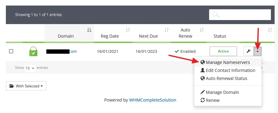 Click the domain Settings icon and then Click the Manage Nameservers option.