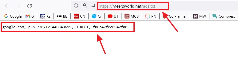 If your naked domain is redirected successfully to "www" your "ads.txt" will be accessible on your browser, as shown below.