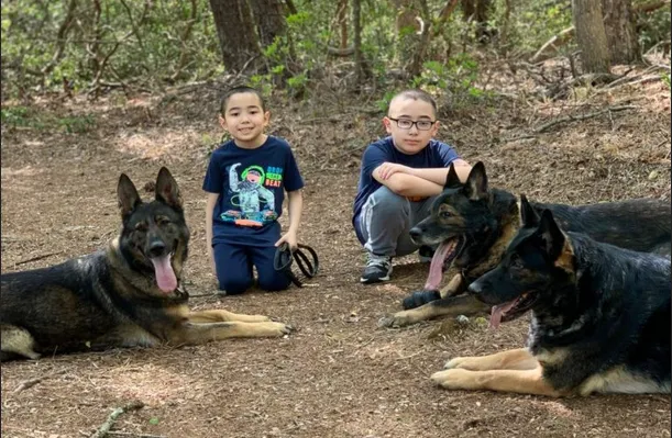 Jagermeister German Shepherds Jagermeister German Shepherds breed and train their dogs for family/personal protection, family companionship, law enforcement, Schutzhund competition, etc.