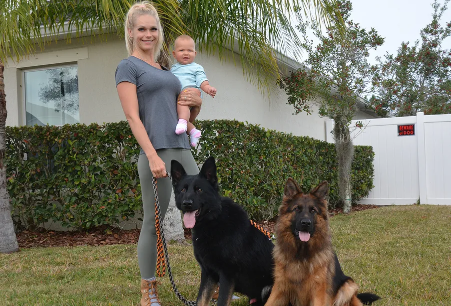 K-9 Specialists German Shepherds K-9 Specialists are trained family protection dogs, police and dual purpose dogs. They are strictly from Czech Republic(DDR).