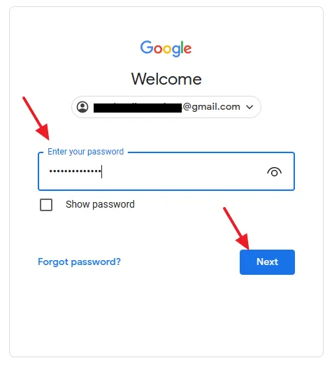 Enter your Password. Click the Next button.