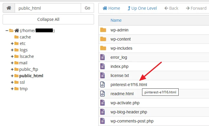 You can see in the public_html directory that the Pinterest file is listed.