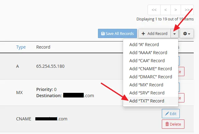 Click on the + Add Record dropdown list. Select Add "TXT" Record.