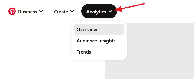 Click on the Analytics tab and explore Overview, Audience Insights, and Trends. 