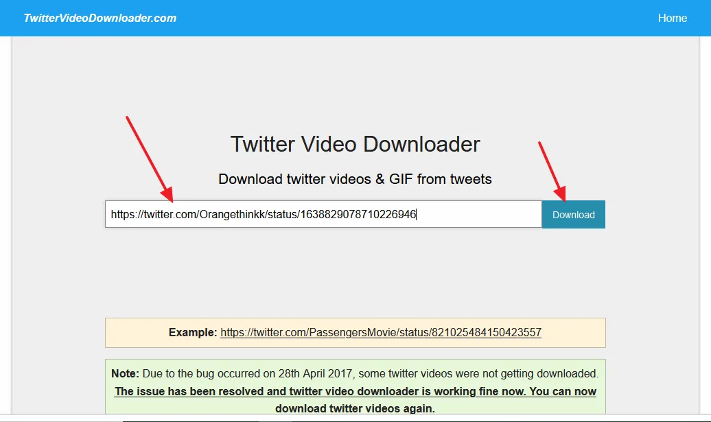 Now open the website Twitter Video Downloader. Paste the copied tweet URL in the text field. Click on the Download button.