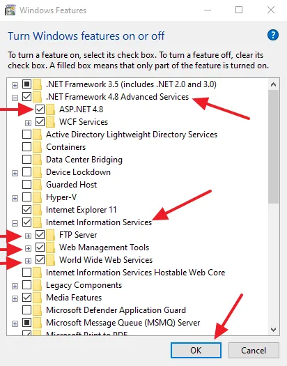 Tick ASP.NET and IIS Tick the checkbox of ASP.NET 4.8. Expand Internet Information Services. Tick (enable) all the features of IIS i.e. FTP Server, Web Management Tools, World Wide Web Services.