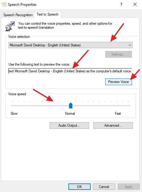 Paste (Ctrl + V) or enter the text that you want it to speak in the Use the following text to preview the voice text field. Click on the Preview Voice button to begin the speech.