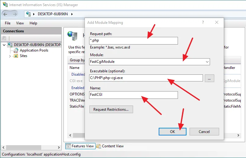 Add Module Mapping information such as Request Path, Module, Executable, and Name.