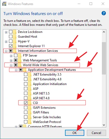 Expand the Internet Information Services. Expand the World Wide Web Services. Expand the Application Development Features. Tick on the CGI.