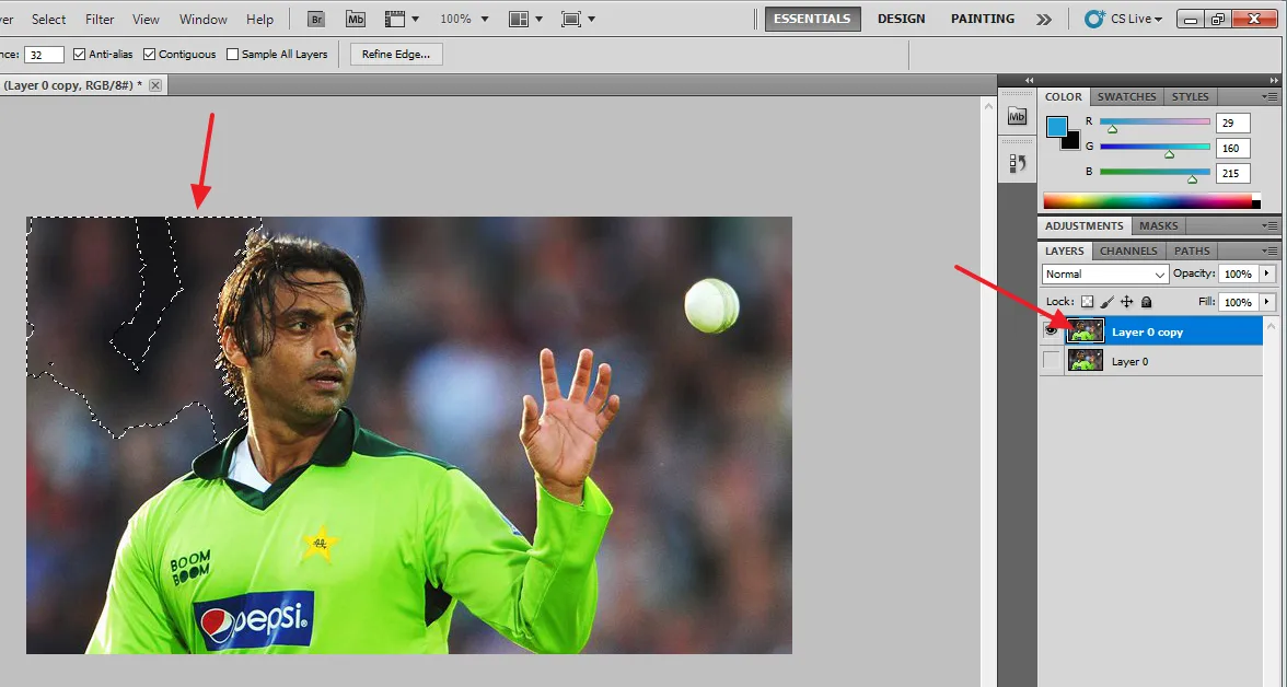 Select Magic Wand Tool and click anywhere on the background. Uncheck the Main layer (Layer 0). Select the Copied Layer. Select Magic Wand Tool and click anywhere on the background.
