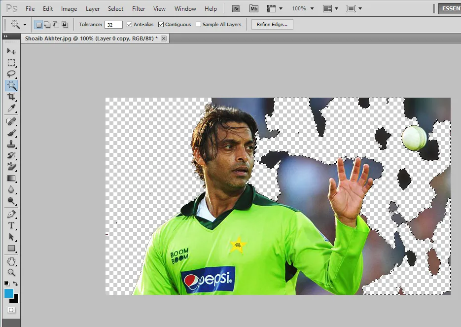 I have deleted the last selected areas of the image. I have deleted the last selected areas of the image.