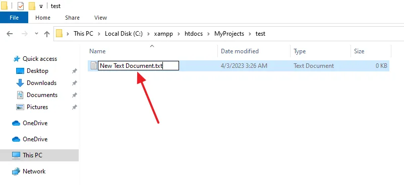 A text file with the name New Text Document.txt will be created. Rename the file to index.php.