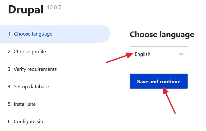 Choose Language. Click on the Save and continue button.