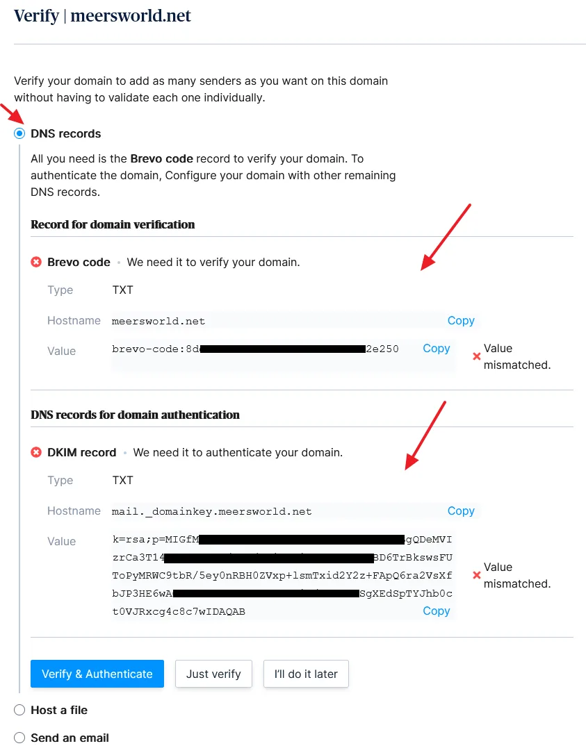 Select the DNS records option. Add the two DNS (TXT) records one-by-one on your domain's DNS Settings.