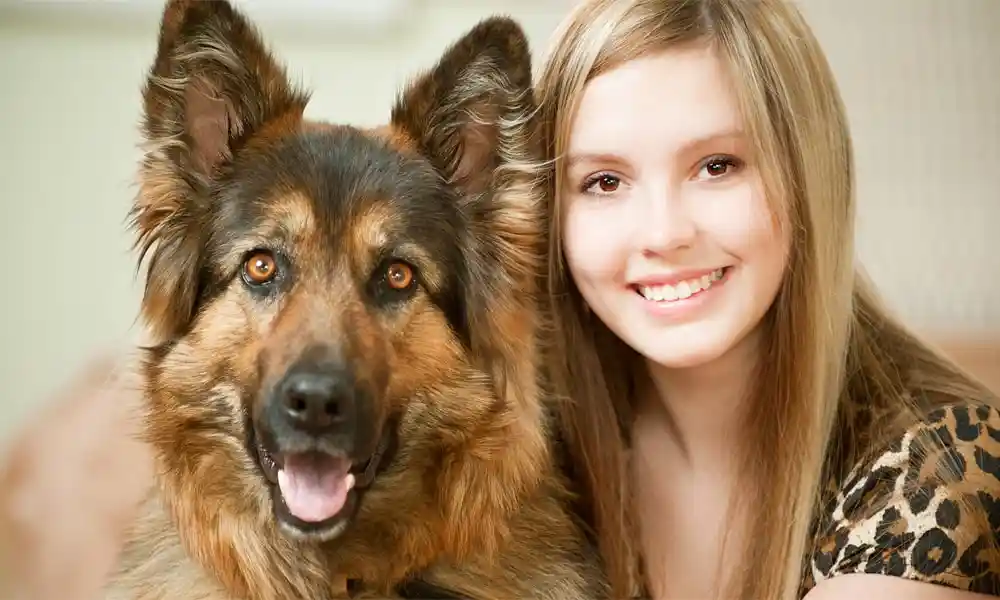 5 Different Types Of German Shepherd Breeds & Their Features featured