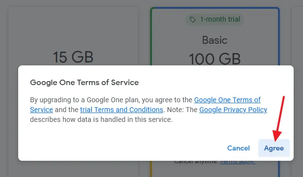 Click on the Agree button to accept the Google One Terms of Service.