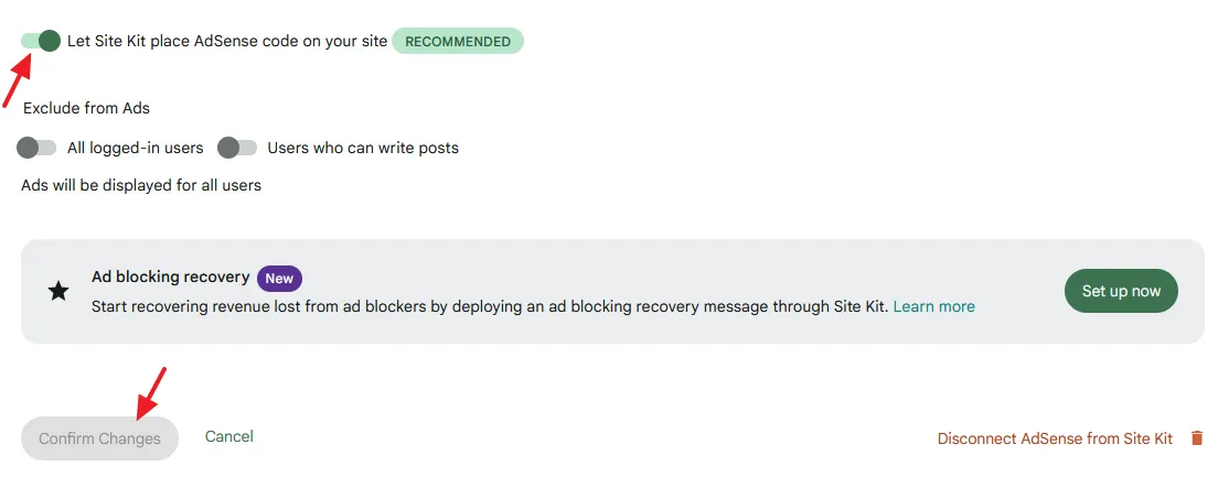 Turn on Let Site Kit place AdSense code on your site. Click on the Confirm Changes button.
